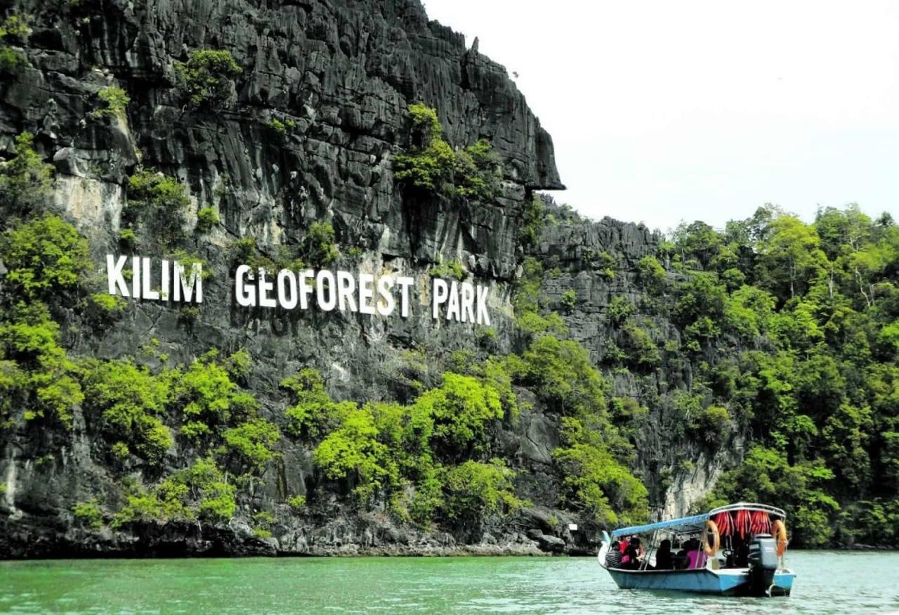 Jelajahi Pesona Mangrove Tour Langkawi: Ekosistem Pesisir yang Menawan